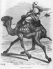 Camel Rider Black And White Image